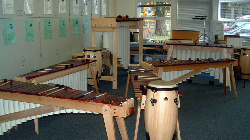 The unique qualities of Rosebush Marimbas make it so that any student can learn to play music successfully.