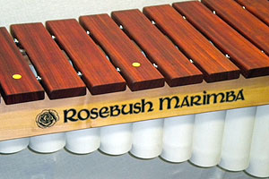 Padouck Notes with Maple Inlay on Cs and Gs